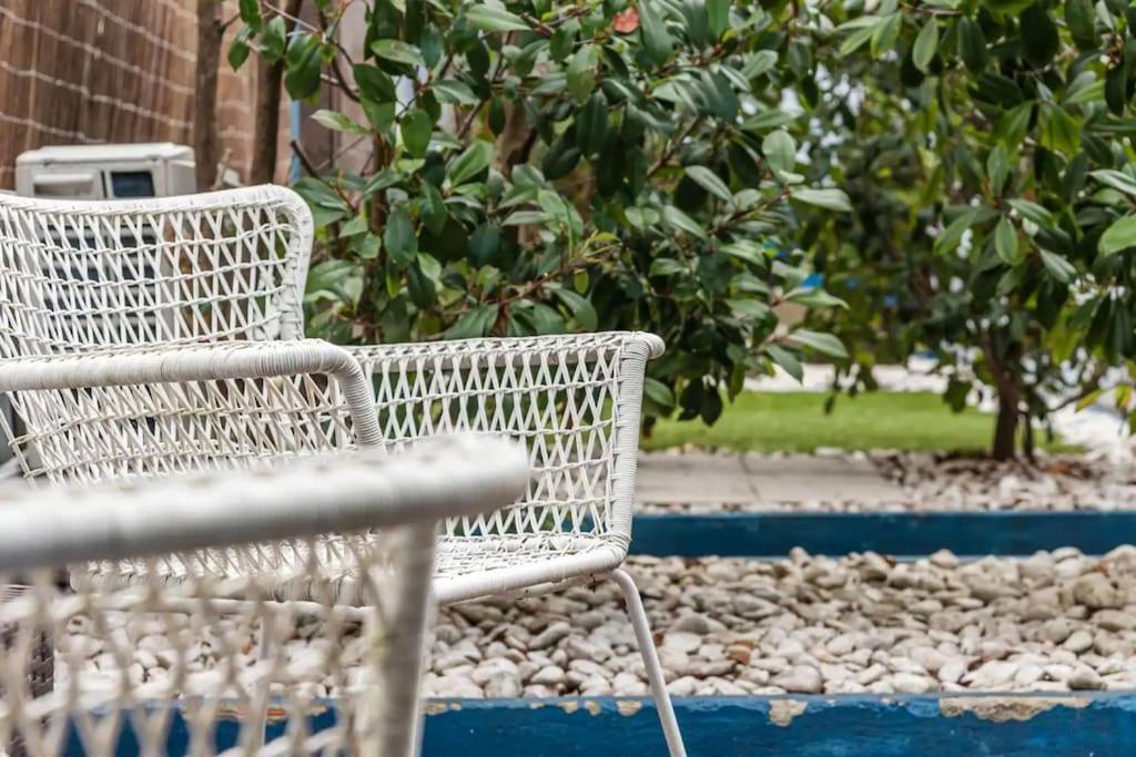 Inlapa Studio VI Porto Garden Exterior photo